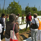 KOE_Faszination Spargel 29_jpg-1306401567