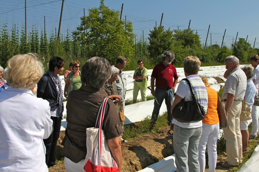KOE_Faszination Spargel 29_jpg-1306401567