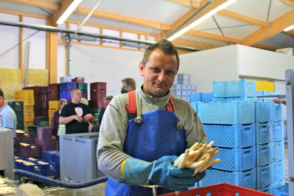 KOE_Faszination Spargel 30_jpg-1306401573