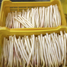 KOE_Faszination Spargel 36_jpg-1306401612
