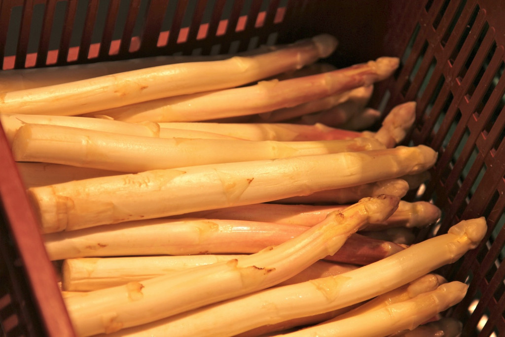 KOE_Faszination Spargel 47_jpg-1306401688