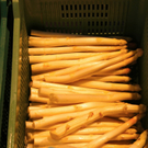 KOE_Faszination Spargel 48_jpg-1306401694