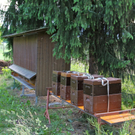 KOE_Imkergrundkurs 17_jpg-1306418655