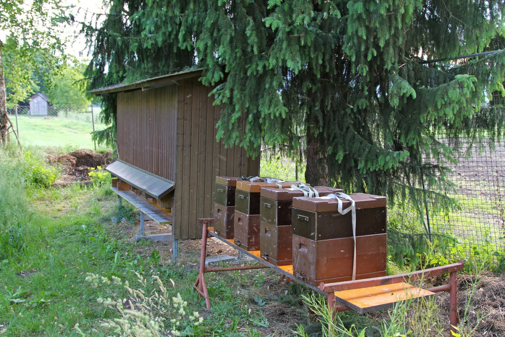KOE_Imkergrundkurs 17_jpg-1306418655