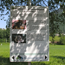 KOE_Imkergrundkurs 21_jpg-1306418692