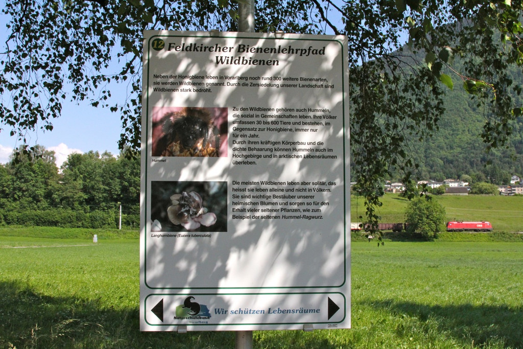 KOE_Imkergrundkurs 21_jpg-1306418692