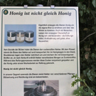 KOE_Imkergrundkurs 3_jpg-1306418528