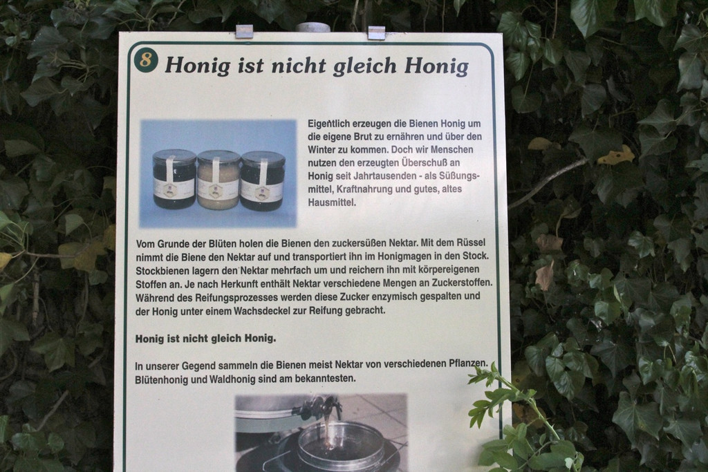 KOE_Imkergrundkurs 3_jpg-1306418528
