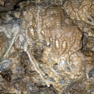 DSCN0467.JPG