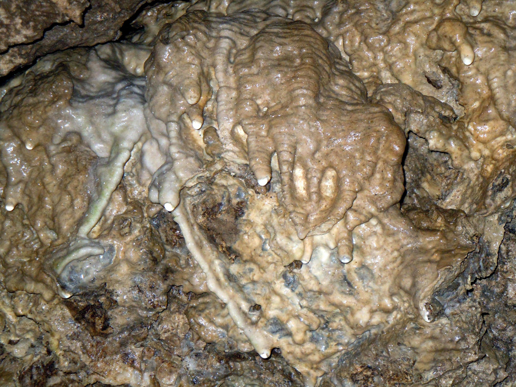 DSCN0467.JPG