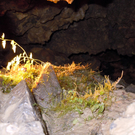 DSCN0486.JPG