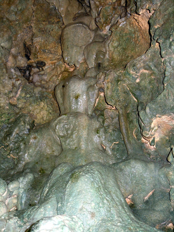 DSCN0500.JPG