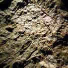 DSCN0501.JPG
