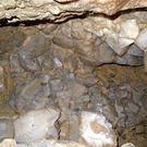 DSCN0507.JPG