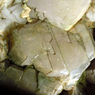 DSCN0510.JPG