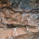 DSCN0528.JPG