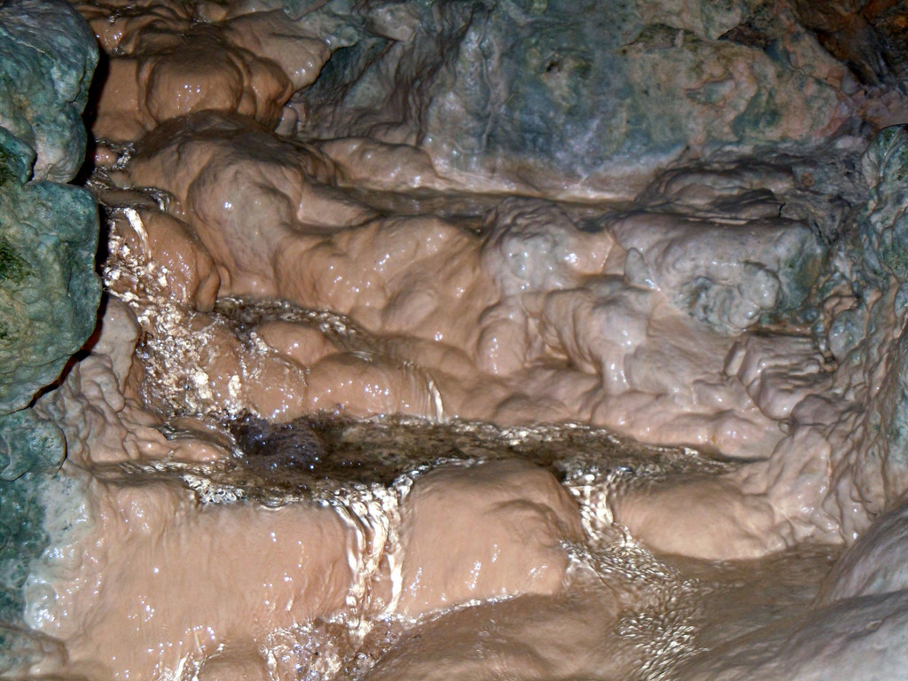 DSCN0528.JPG