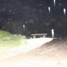normal_26052011haglrlaktivnews_20_12_.jpg
