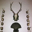 BK_palast_hohenems 22_jpg-1306485628