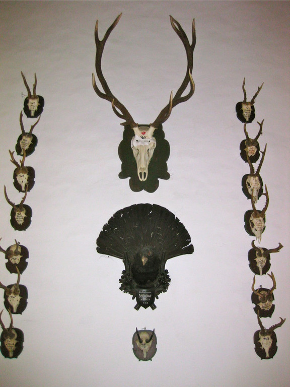 BK_palast_hohenems 22_jpg-1306485628