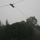 IMG_4993.jpg