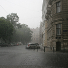 IMG_4995.jpg