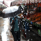 regen.jpg