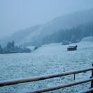 normal_280511schneesfaktivnews005.jpg