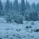 normal_280511schneesfaktivnews010.jpg