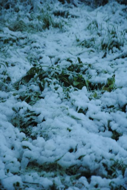 normal_280511schneesfaktivnews011.jpg