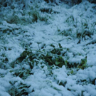 normal_280511schneesfaktivnews011.jpg
