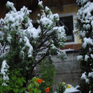 normal_280511schneesfaktivnews015.jpg