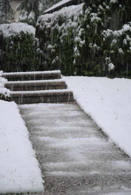 normal_280511schneesfaktivnews019.jpg