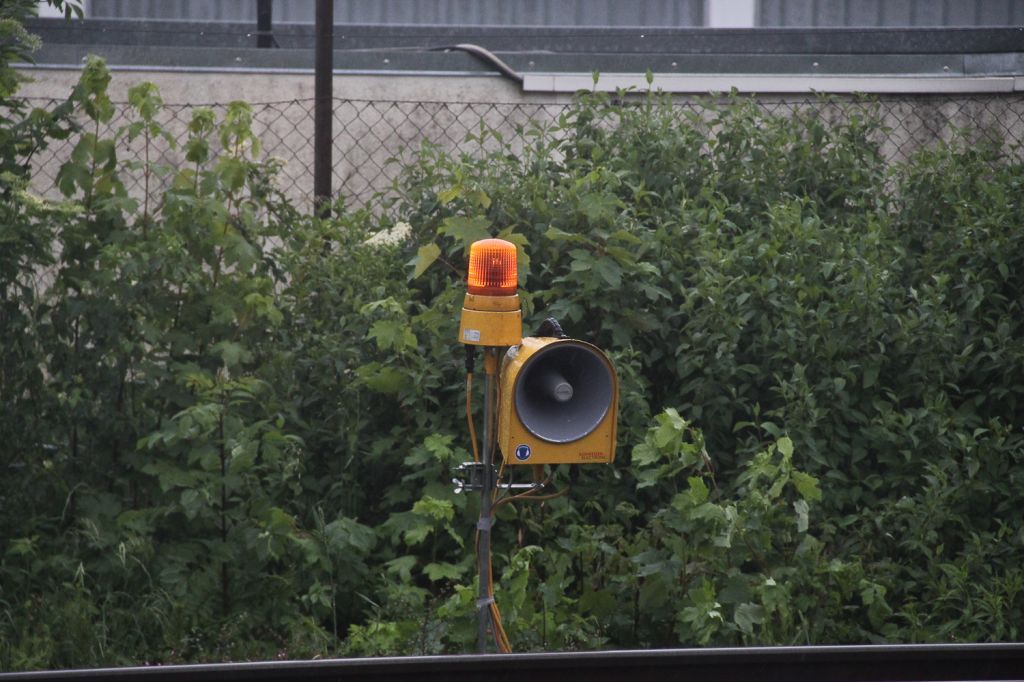 normal_27052011wtdbsignalaktivnews12.jpg