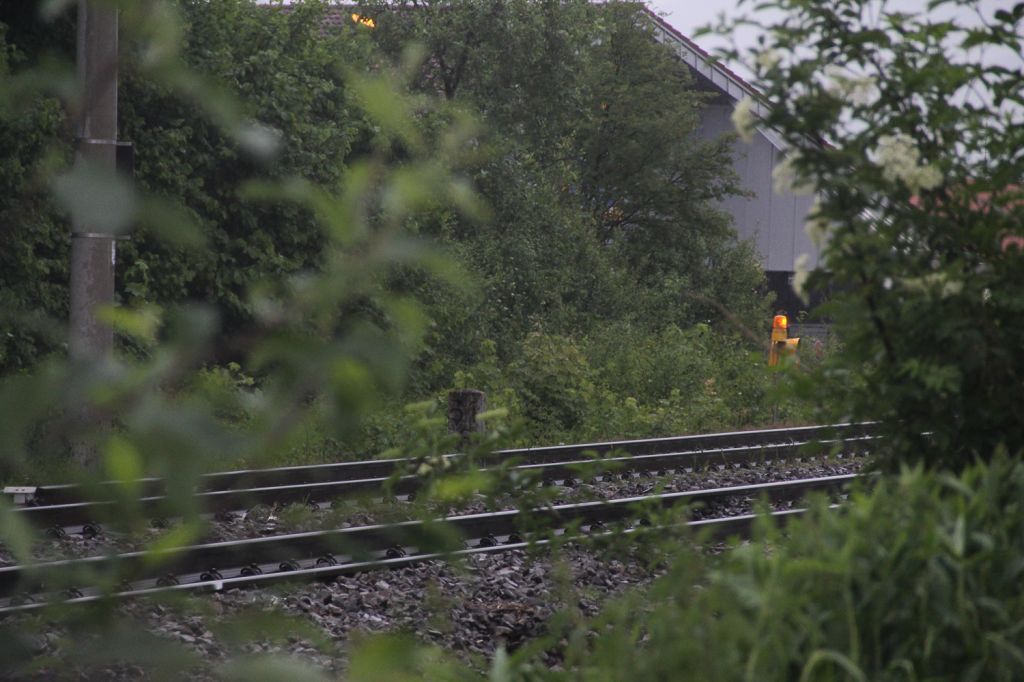normal_27052011wtdbsignalaktivnews13.jpg