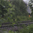 normal_27052011wtdbsignalaktivnews13.jpg
