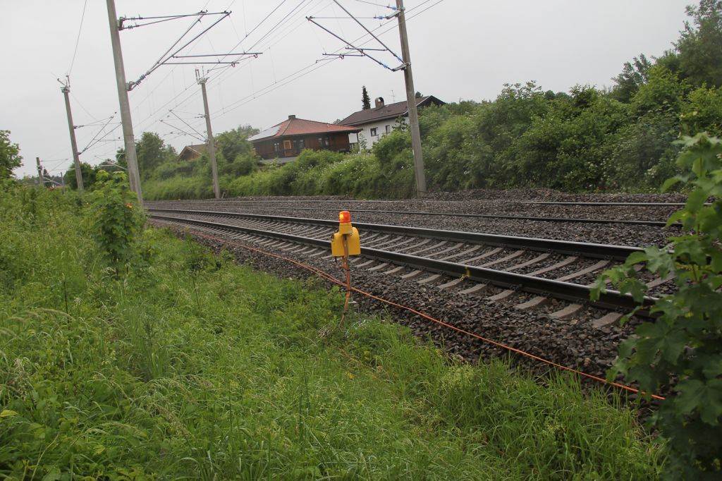 normal_27052011wtdbsignalaktivnews6.jpg
