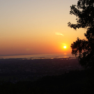 DSC09409.JPG