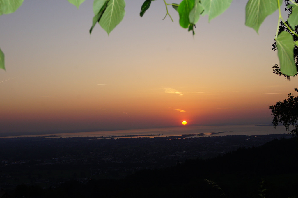DSC09414.JPG