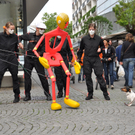 eumelhund_jpg-1306580419
