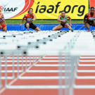 20110528111902.jpg