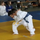 Judo Anfänger Randori