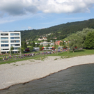 Frauenlauf START 2011 Lochau _28__jpg-1306618019