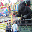 111_2194_JPG-1306626990