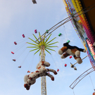 111_2201_JPG-1306627000