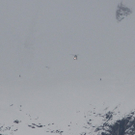 28052011blaueisrlaktivenws3_20_26_.jpg