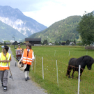 589_bearbeitet-1_jpg-1306661782
