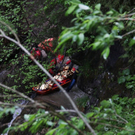 normal_280511notarztgmaktivnews045.jpg