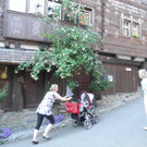 DSCN6877_JPG-1306674497