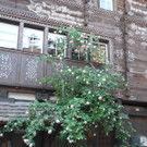 DSCN6878_JPG-1306674511